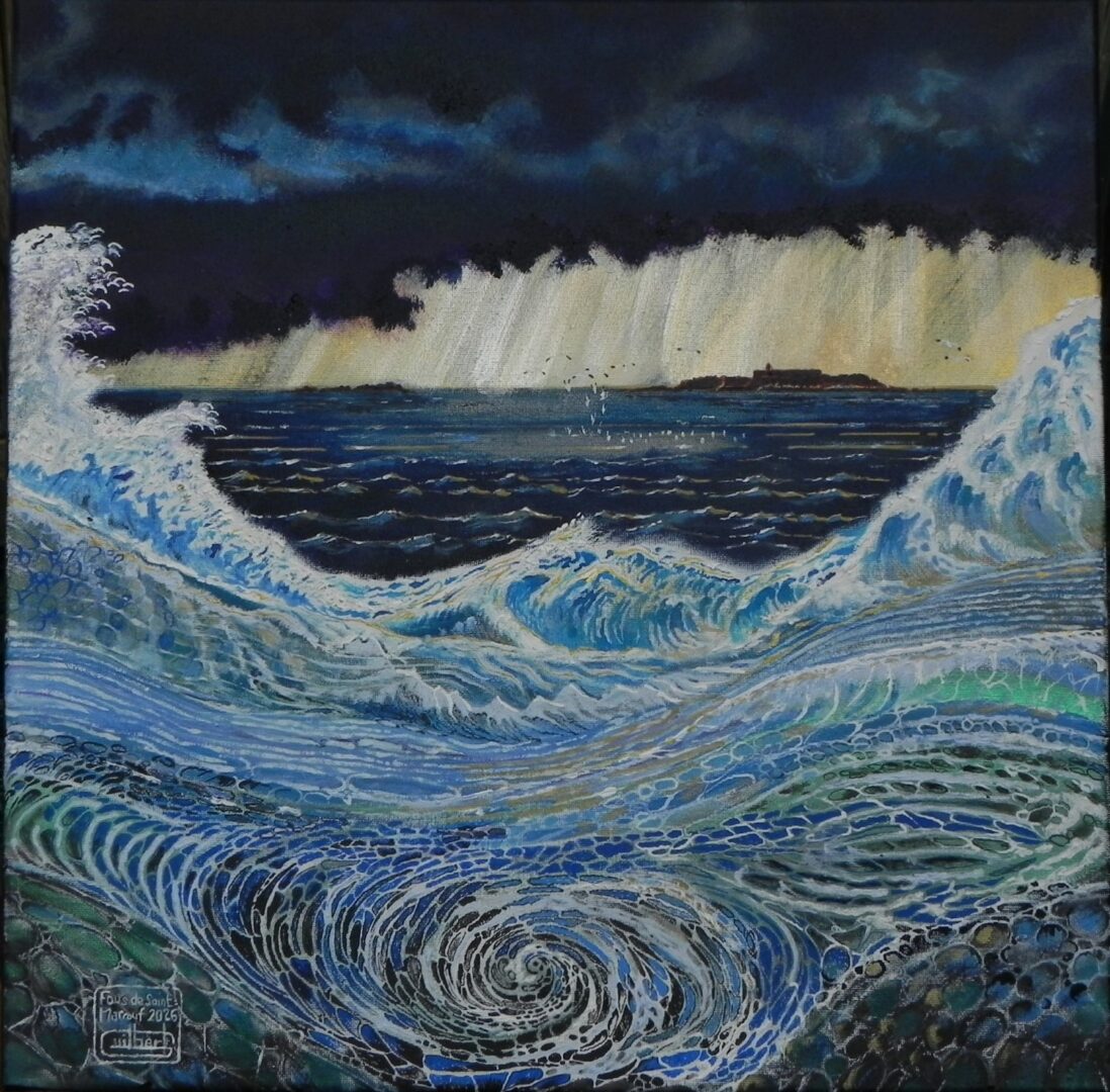 FOUS DES ÎLES SAINT MARCOUF